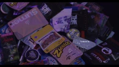 Photo of Kali x Major – California feat PlanBe