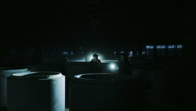 Photo of Możecie juz zobaczyć w CANAL+ nasz konce…