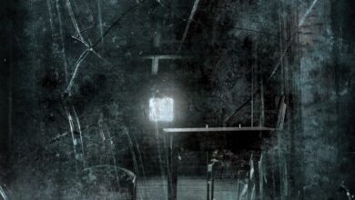 Photo of Zainteresowanych zapraszam do kontaktu n…