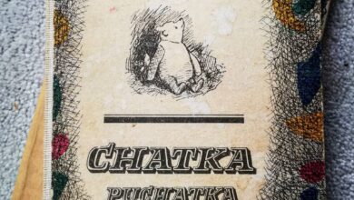 Photo of Wszystkiego najlepszego z okazji Dnia Pu…