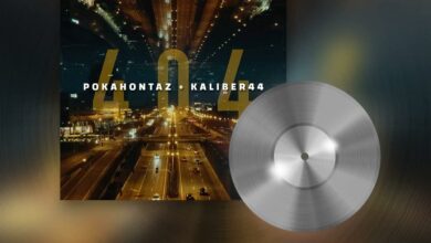 Photo of Sygnał dotarł