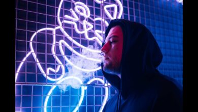 Photo of DMP x Foxs – Niech żyje sztuka