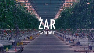 Photo of PRO8L3M feat. Brodka – ŻAR (Tak To Robię)