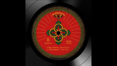 Photo of Violinbwoy ft. Ras Amlak – Spread Love + Love Dub