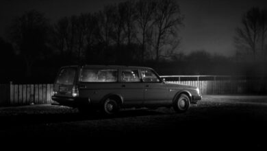 Photo of #JWP #DREAL D real – Historia Pewnej Nocy (feat. dobrzemati)