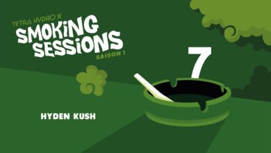 Photo of Tetra Hydro K – Hyden Kush – Smoking Sessions #7
