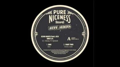 Photo of Echo Roots ft. ECU – One – Pure Ruffness aka Pure Niceness Records 12″