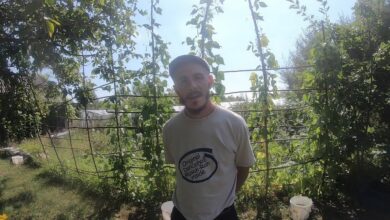 Photo of Możemy uratować życie małej istoty. Prze…