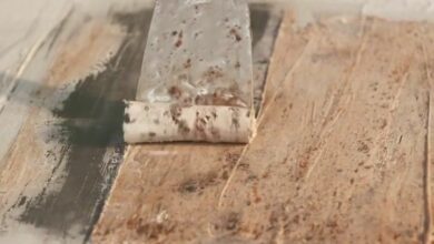 Photo of Who’s missing the summer vibes Monday th…