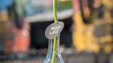 Photo of Všem ženám přejeme parádní meziná…