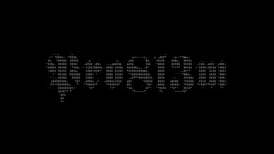 Photo of PRO8L3M – World Wide Web