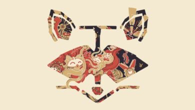 Photo of Rakoon – Dubbin’ Sailer