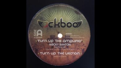 Photo of Turn Up The Amplifier – M8cky Banton – Dub Force UK – Ackboo BASS008