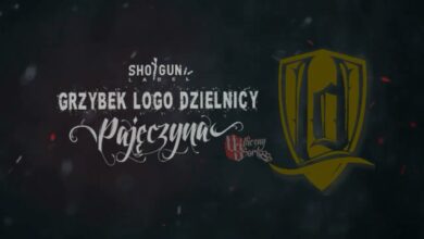 Photo of Grzybek LD – Pajęczyna (Prod. ANS)