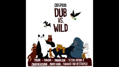 Photo of Tetra Hydro K – Ecosse ton Dub feat. Tom Spirals (Björk Mashup) [FREE DUBLOAD]