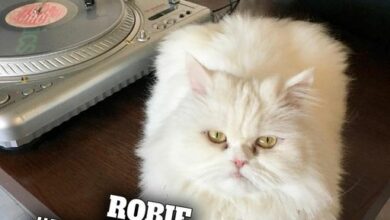 Photo of Rząd zaleca aby zostać w domach 
Wszystk…