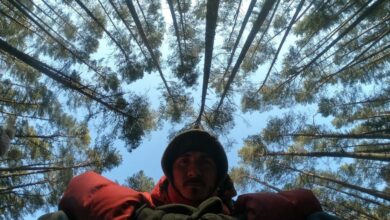 Photo of #zostańwlesie…