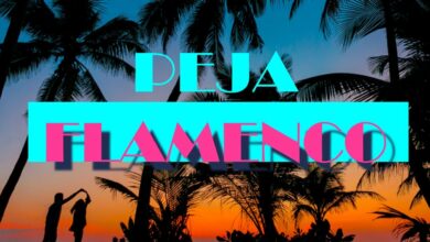 Photo of Peja/Slums Attack – Flamenco (prod. Magiera) Mash Up by Invart Video