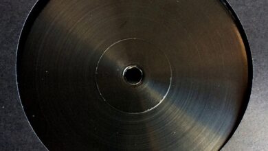 Photo of Zion Train – Get Ready (Radikal Guru Remix)