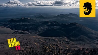 Photo of Koniokrady (prod. Lex Caesar) #URKMSWDWAAWJIM