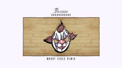 Photo of Ondubground – Because (Woody Vibes Remix)