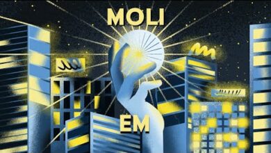 Photo of Moli – EM