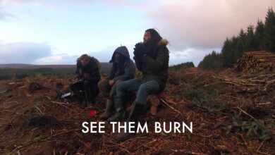 Photo of Alpha Steppa & Nai-Jah – Amazon (ft. Ras Tinny) #streetdub