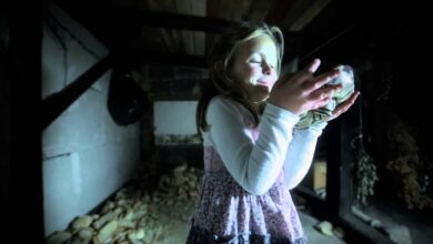 Photo of Kleszcz – OMG (MaxFloLab) prod.Stahu