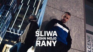 Photo of Śliwa ft. John Mojo – Rany