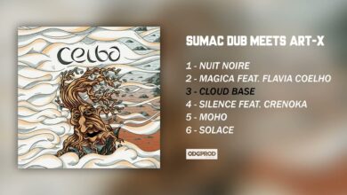 Photo of Sumac Dub meets Art-X – Ceiba  [Full album]