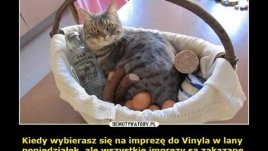 Photo of Ale jak to ?? Mimo wszystko życzymy Wes…