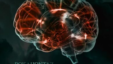 Photo of Najnowszy singiel BURZA MÓZGU znajdzieci…