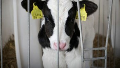 Photo of Zachęcamy do podpisywania inicjatywy w s…