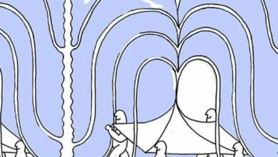 Photo of Dzisiejszy benefit, który wspieramy nasz…