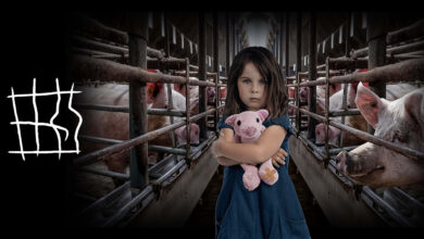 Photo of Koniec Epoki Klatkowej