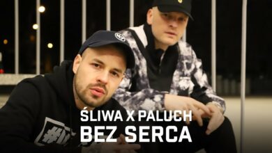 Photo of Śliwa ft. Paluch – Bez serca (prod. SHDOW)