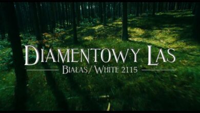 Photo of Białas & White 2115 – Diamentowy Las
