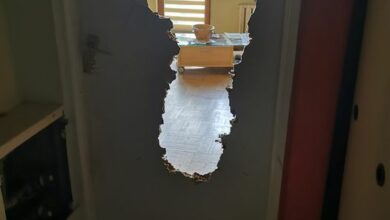 Photo of Z buta wjechały nasze pieski do przedpok…