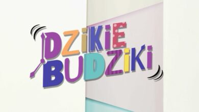 Photo of Dzikie Budziki