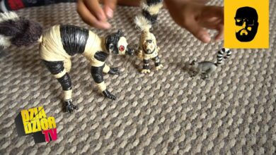 Photo of donGURALesko – Wojny Lemurów (prod. Ceha) #URKMSWDWAAWJIM