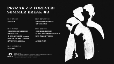 Photo of GREY GOOSE LECĘ JAK PTAK 

A wszyscy, kt…