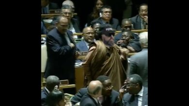 Photo of Dziadzior z namiotu – czyli nadchodzące koncerty #SHORT