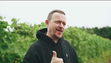 Photo of Winem Powiśle: Lis 2020 – premiera w Winnicy Dwórzno