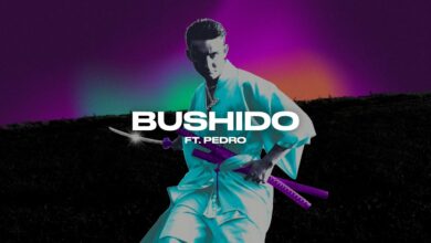 Photo of Janusz Walczuk ft. Pedro – Bushido
