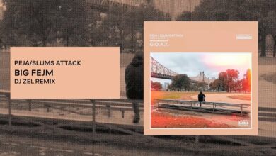 Photo of Peja/Slums Attack – Big Fejm (DJ. Zel remix)