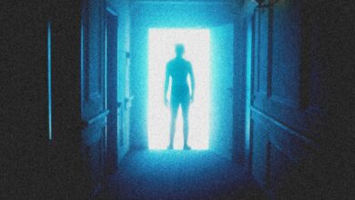 Photo of Mata – Szafir