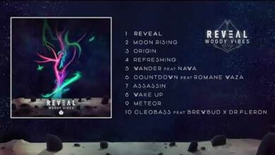 Photo of Woody Vibes – Reveal  [Full album]