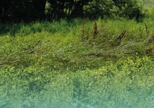 Photo of O idei spółdzielczości. Podróż do zielonej utopii – film i spotkanie online