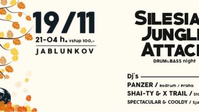 Photo of Silesian Jungle Attack vol.21/ PANZER