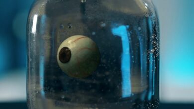 Photo of Wypatrujcie jutro nowego klipu!